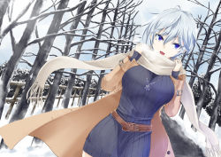 Rule 34 | 10s, 1girl, alternate costume, anastasia (idolmaster), belt, blue eyes, breasts, coat, colored skin, commentary request, day, dress, dutch angle, hair between eyes, hiba (p-p-purin), idolmaster, idolmaster cinderella girls, large breasts, long sleeves, outdoors, ribbed sweater, scarf, short dress, short hair, silver hair, snow, solo, sweater, sweater dress, tree, white skin, winter clothes, winter coat