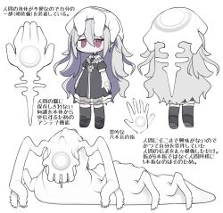 Rule 34 | 1girl, arms at sides, black dress, black footwear, black socks, character sheet, closed mouth, commentary request, dress, expressionless, frilled shirt collar, frills, grey hair, hair between eyes, kisaragi kaya, loafers, long hair, monster, multiple views, original, pale skin, puffy short sleeves, puffy sleeves, purple eyes, see-through, see-through skirt, shoes, short sleeves, simple background, skirt, socks, translation request, turnaround, very long hair, white background, white headwear