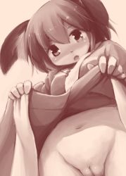 Rule 34 | 1girl, animal ears, blush, clothes lift, dress, dress lift, female focus, from below, futatsuki hisame, kasodani kyouko, long sleeves, looking down, monochrome, navel, no panties, open mouth, pussy, short hair, solo, touhou, uncensored