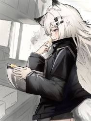 Rule 34 | 1girl, absurdres, ahoge, animal ears, arknights, black jacket, black shorts, bowl, cake batter, commentary request, cowboy shot, doctor (arknights), food, food on face, from side, grey eyes, grey hair, hair ornament, hairclip, highres, holding, holding bowl, jacket, lappland (arknights), long hair, mixing bowl, parted lips, profile, scar, scar across eye, scar on face, shorts, solo focus, tab head, tail, texas (arknights), unfinished, wolf ears, wolf girl, wolf tail