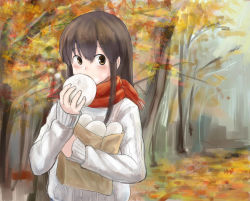 Rule 34 | 10s, 1girl, akagi (kancolle), autumn, bag, blush, brown eyes, casual, dim sum, eating, highres, kantai collection, leaf, long hair, maple leaf, maple tree, okitsugu, outdoors, paper bag, red scarf, scarf, solo, sweater, tree