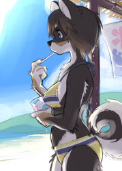 Rule 34 | 1girl, animal ears, animal nose, beach, bikini, blue eyes, blue sky, body fur, breasts, brown hair, cloud, commentary request, day, eating, furry, furry female, highres, holding, kikurage (crayon arts), medium breasts, ocean, original, outdoors, profile, short hair, sky, snout, solo, striped bikini, striped clothes, summer, swimsuit, tail, yellow bikini