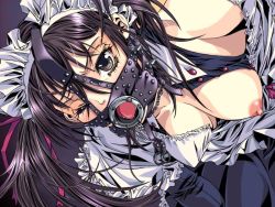 Rule 34 | 1girl, artist request, bdsm, bondage, bound, breasts, character request, female focus, gag, gagged, game cg, nipples, pigeon blood, ring gag, solo, twintails