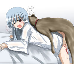 Rule 34 | 00s, 1girl, bed, bent over, bestiality, blush, bottomless, bow, cum, cum in pussy, dog, hizumi (artist), hizumi (nanika no shougou), long hair, murasame oshizu, one eye closed, red eyes, sex, shirt, silver hair, solo, tears, to love-ru, vaginal, wince, wink