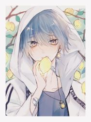 Rule 34 | 1boy, blue hair, blush, border, branch, collarbone, earrings, food, fruit, hair between eyes, highres, holding, hood, hood up, jacket, jewelry, lemon, long sleeves, looking at viewer, male focus, myuhuaki, open clothes, open jacket, original, parted lips, patch, pendant, single earring, solo, upper body, white jacket, yellow eyes