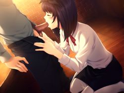 Rule 34 | 1girl, amemiya hatsune, cum, fellatio, game cg, hazuki kyoko, innocent grey, kneeling, oral, penis, sugina miki, uncensored