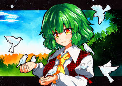 Rule 34 | 1girl, :d, ascot, bad id, bad pixiv id, bird, bird on hand, blue sky, grass, green hair, juliet sleeves, kazami yuuka, long sleeves, looking at animal, looking at viewer, multicolored eyes, open mouth, orange eyes, outdoors, plaid, plaid vest, puffy sleeves, qqqrinkappp, red vest, short hair, sky, smile, touhou, traditional media, upper body, vest, white bird, yellow ascot