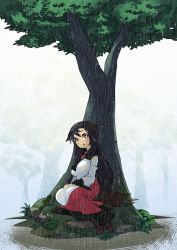 Rule 34 | 1girl, animal ears, blush, breasts, brooch, brown hair, dress, imaizumi kagerou, jewelry, long hair, looking up, nature, open mouth, rain, red eyes, see-through, shimizu, sitting, solo, tail, touhou, tree, umigarasu (kitsune1963), wariza, wet, wet clothes, wolf ears, wolf tail
