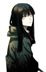 Rule 34 | 1girl, black hair, blood, blood on clothes, closed mouth, green jacket, highres, hoshi san 3, jacket, long hair, long sleeves, looking at viewer, original, shirt, simple background, solo, upper body, white background, white eyes, white shirt