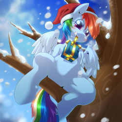 Rule 34 | 1girl, furry, my little pony, my little pony: friendship is magic, oze (zoexm177), rainbow dash, snow, tagme, tree