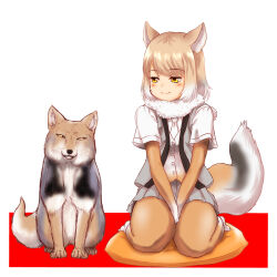 Rule 34 | 1girl, absurdres, animal, animal ears, between legs, blush, bodystocking, brown hair, buttons, closed mouth, creature and personification, fox, fox ears, fox girl, fox tail, full body, fur collar, hakumaiya, hand between legs, highres, kemono friends, layered sleeves, light brown hair, long sleeves, looking at viewer, medium hair, microskirt, multicolored hair, necktie, open clothes, open vest, own hands together, parted bangs, pillow, pleated skirt, seiza, shirt, short over long sleeves, short sleeves, sitting, skirt, smile, tail, tibetan fox (kemono friends), tibetan sand fox, v arms, vest, white hair, yellow eyes