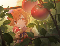 Rule 34 | 1girl, aki minoriko, apron, blonde hair, collared shirt, dated, food, fruit hat ornament, furahata gen, grape hat ornament, hat, hat ornament, highres, holding, holding food, holding vegetable, leaf, looking at viewer, mob cap, open mouth, red apron, red eyes, red hat, shirt, short hair, signature, smile, solo, tomato, touhou, upper body, vegetable, yellow shirt
