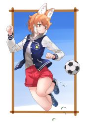 Rule 34 | 1girl, absurdres, animal ears, ball, blue jacket, blush, brown eyes, casual, dhole (kemono friends), dog ears, dog girl, dog tail, drawstring, extra ears, grey hoodie, highres, hood, hood down, hoodie, jacket, kemono friends, kemono friends 3, letterman jacket, light brown hair, long sleeves, midair, multicolored hair, official alternate costume, red shorts, shoes, short hair, shorts, sneakers, soccer ball, socks, solo, tail, tanabe (fueisei), white hair