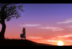 Rule 34 | 1girl, cloud, evening, female focus, from behind, grass, hat, letterboxed, moriya suwako, nature, nogisaka kushio, outdoors, plant, silhouette, sky, solo, standing, sun, sunset, touhou, tree, twilight, wind
