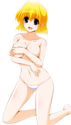 Rule 34 | 1girl, blonde hair, blue eyes, breasts, cleavage, covering privates, covering breasts, engo (aquawatery), kneeling, large breasts, looking at viewer, lyrical nanoha, navel, open mouth, panties, shamal, short hair, simple background, solo, topless, underwear, white background, white panties