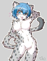 Rule 34 | 1girl, artist request, blue eyes, breasts, furry, furry female, highres, nude, short hair, snow leopard, solo