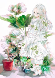 Rule 34 | 1girl, blue eyes, dress, frilled dress, frills, full body, glasses, highres, leaf, long hair, long sleeves, original, plant, potted plant, shoes, sleeves past fingers, sleeves past wrists, solo, standing, white dress, white footwear, white hair, yogisya