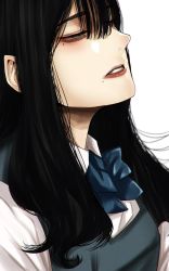 Rule 34 | 1girl, black hair, blouse, blue bow, blue bowtie, bow, bowtie, from side, grey eyes, half-closed eyes, highres, hoshi san 3, long hair, original, parted lips, shirt, simple background, solo, white background, white shirt, wing collar
