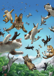 Rule 34 | animal focus, blue sky, cat, cloud, dated, day, falling, forest, matataku, nature, no humans, original, outdoors, signature, sky, surprised cat (matataku), too many, too many cats, tree
