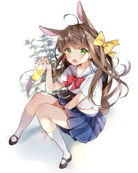 Rule 34 | 1girl, animal ears, black footwear, blue skirt, blush, bow, bowtie, brown hair, commentary request, copyright request, cup, drink, drinking glass, fang, green eyes, hair bow, highres, holding, holding cup, holding drinking glass, kneehighs, long hair, open mouth, pingo, pleated skirt, rabbit ears, red bow, red bowtie, school uniform, serafuku, shirt, shoes, short sleeves, sitting, skirt, socks, solo, tears, very long hair, white shirt, white socks, yellow bow