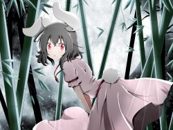 Rule 34 | 1girl, animal ears, bamboo, bamboo forest, black hair, bwell, carrot, carrot necklace, dress, forest, from side, full moon, hair between eyes, inaba tewi, jewelry, moon, nature, necklace, night, pendant, rabbit ears, rabbit girl, rabbit tail, red eyes, see-through, short hair, sky, solo, star (sky), starry sky, tail, touhou