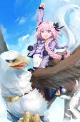 Rule 34 | 1boy, ahoge, arm up, astolfo (fate), astolfo (memories at trifas) (fate), braid, braided ponytail, cloud, collarbone, commentary request, cropped jacket, cropped shirt, day, fang, fate/apocrypha, fate (series), feathers, griffin, hair between eyes, jewelry, long hair, long sleeves, male focus, midriff, navel, necklace, official alternate costume, open mouth, outdoors, pantyhose, pink hair, purple eyes, riding, shirt, shoes, sitting, skin fang, skirt, sky, solo, stomach, striped clothes, striped shirt, trap, waka (shark waka)