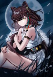 Rule 34 | 1girl, absurdres, animal ears, arknights, bandaid, bandaid on knee, bandaid on leg, bare shoulders, brown hair, brown jacket, dress, full moon, hair ornament, highres, jacket, looking at viewer, lunacub (arknights), medium hair, moon, night, off shoulder, one-hour drawing challenge, open clothes, open jacket, outdoors, parted lips, rau ma (the rauma001), short hair, signature, sitting, sleeveless, sleeveless dress, solo, white dress, wolf ears, wolf girl, yellow eyes