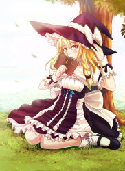 1girl blonde_hair blush book braid bug butterfly female_focus frills hat highres insect iyokamioto kirisame_marisa looking_at_viewer mary_janes shoes sitting solo touhou tree wariza witch witch_hat yellow_eyes