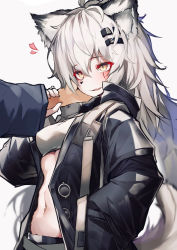Rule 34 | 1girl, absurdres, animal ears, animal nose, arknights, black jacket, body fur, commentary, fang, furrification, furry, furry female, hair ornament, hairclip, hand in pocket, heart, highres, holding another&#039;s wrist, jacket, lappland (arknights), long hair, long sleeves, navel, scar, scar across eye, scar on face, simple background, skin fang, slit pupils, solo focus, tab head, tail, white background, white hair, yellow eyes