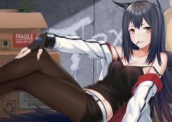 Rule 34 | 1girl, animal ears, arknights, bare shoulders, belt, black gloves, black hair, black shirt, black shorts, box, breasts, brown eyes, brown pantyhose, camisole, cardboard box, collarbone, commentary request, fingerless gloves, gloves, jacket, long hair, looking at viewer, medium breasts, midriff, off shoulder, open clothes, open jacket, pantyhose, pantyhose under shorts, reclining, shirt, short shorts, shorts, solo, spaghetti strap, strap slip, tail, texas (arknights), white jacket, zui ai shuang mawei