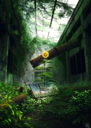 Rule 34 | commentary request, damaged, day, flower, highres, indoors, mocha (cotton), nature, no humans, original, overgrown, painting (object), industrial pipe, ruins, rust, scenery, summer, sunflower, sunlight, yellow flower