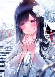 Rule 34 | 1girl, absurdres, black hair, blurry, blurry background, blush, building, floral print, flower, hair flower, hair ornament, hands up, highres, japanese clothes, kanzashi, kimono, kuro namako, long hair, long sleeves, obi, original, outdoors, own hands together, parted lips, pink eyes, sash, shrine, snow, solo, stairs, tree, white flower, white kimono