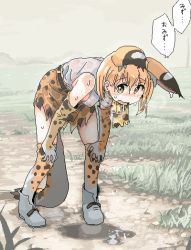 Rule 34 | 1girl, animal ears, belt, bent over, breasts, commentary request, covered erect nipples, dripping, elbow gloves, extra ears, full body, gloves, hair between eyes, hands on own knees, high-waist skirt, i love serval, kemono friends, kneehighs, looking at viewer, medium hair, miniskirt, nipples, oekaki, open mouth, orange hair, print gloves, print legwear, print neckwear, print scarf, print skirt, scarf, see-through, serval (kemono friends), serval print, serval tail, shirt, shoes, skirt, sleeveless, sleeveless shirt, small breasts, socks, solo, standing, tail, thighhighs, translation request, wet, wet clothes, wet face, wet hair, wet shirt, wet skirt, white shirt, yellow eyes, zettai ryouiki