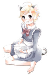 Rule 34 | 1girl, ahoge, animal ears, barefoot, blonde hair, cat ears, cat tail, lowres, maid, mignon, ribbon, schmooze, solo, tail
