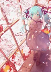 Rule 34 | 1girl, aqua eyes, aqua hair, dress, flower, from above, hair ribbon, hatsune miku, long hair, own hands clasped, own hands together, rabbyxxx, ribbon, socks, solo, twintails, vocaloid