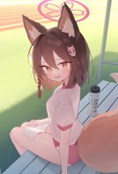 Rule 34 | 1girl, absurdres, animal ear fluff, animal ears, blue archive, blush, bottle, braid, breasts, brown hair, commentary, doribae, fang, fox ears, fox girl, fox hair ornament, fox tail, from behind, gym shirt, gym uniform, hair between eyes, hair intakes, halo, highres, izuna (blue archive), looking at viewer, looking back, on bench, open mouth, outdoors, pink halo, pink shorts, shirt, short hair, short shorts, short sleeves, shorts, single braid, sitting, skin fang, small breasts, solo, sweat, tail, towel, water bottle, white shirt, yellow eyes