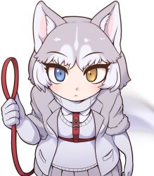 Rule 34 | 1girl, :&lt;, animal ear fluff, animal ears, blue eyes, closed mouth, dog (mixed breed) (kemono friends), dog ears, dog girl, dog tail, elbow gloves, eyelashes, fur-trimmed sleeves, fur trim, gloves, grey gloves, grey hair, grey jacket, grey skirt, grey sweater vest, hand up, harness, heterochromia, holding, holding leash, jacket, kemono friends, kuma (kumahoihoi), leash, looking at viewer, multicolored clothes, multicolored hair, multicolored jacket, pleated skirt, short hair, short sleeves, simple background, skirt, solo, straight-on, sweater vest, tail, tsurime, two-tone hair, two-tone jacket, white background, white hair, white jacket, yellow eyes