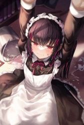Rule 34 | 1girl, absurdres, apron, arms up, bandaid, bandaid on face, black dress, bucket, collared shirt, dress, frilled apron, frills, gongha, hair ornament, highres, long sleeves, maid, maid apron, maid headdress, multicolored hair, original, puffy sleeves, red eyes, ribbon, shirt, spill, water, x hair ornament
