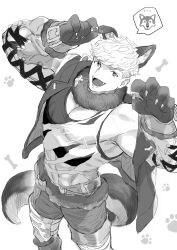 Rule 34 | 1boy, abs, absurdres, animal ear fluff, animal ears, bad id, bad twitter id, bara, blush, boots, fang, fang out, fangs, fur collar, granblue fantasy, greyscale, halloween costume, highres, jacket, knee boots, large pectorals, looking at viewer, male focus, migi (mm86262394), monochrome, muscular, muscular male, navel, official alternate costume, open clothes, open jacket, open mouth, pants, paw pose, pectorals, short hair, smile, solo, tail, tank top, teeth, torn clothes, torn tank top, vane (granblue fantasy), wolf boy, wolf ears, wolf paws, wolf tail