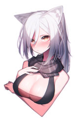 Rule 34 | 1girl, absurdres, animal ears, arknights, bare arms, bare shoulders, beudelb, black scarf, blush, breast hold, breasts, brown eyes, cat ears, cleavage, commentary request, cropped torso, highres, large breasts, long hair, looking at viewer, scarf, schwarz (arknights), silver hair, simple background, sleeveless, solo, upper body, white background