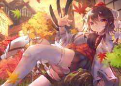 Rule 34 | 1girl, architecture, autumn leaves, black hair, black skirt, black wings, breasts, closed mouth, commentary request, east asian architecture, evening, falling leaves, hat, kourindou tengu costume, leaf, long sleeves, looking at viewer, maple leaf, medium breasts, omo (utakatadice), pelvic curtain, pointy ears, pom pom (clothes), red eyes, ribbon-trimmed legwear, ribbon-trimmed sleeves, ribbon trim, sash, shameimaru aya, sitting, skirt, smile, solo, thighhighs, tokin hat, touhou, tree, white thighhighs, wide sleeves, wings