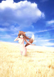 Rule 34 | 00s, 1girl, :d, animal ears, blue sky, blush, breasts, brown eyes, brown hair, cloud, collarbone, day, field, holo, long hair, looking at viewer, medium breasts, navel, no nipples, nude, open mouth, outdoors, running, sky, smile, solo, spice and wolf, stomach, straw (stalk), tail, wander (artist), wander (cordabyss), wolf ears, wolf tail