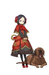 Rule 34 | 1girl, black eyes, black footwear, black hair, black pantyhose, capelet, cross-laced clothes, dog, dog request, dress, flower, frilled dress, frills, frown, full body, hair flower, hair ornament, highres, leash, looking at viewer, official art, pantyhose, princess principal, princess principal game of mission, red dress, red footwear, shoes, short hair, solo, standing, toudou chise, transparent background, yawning