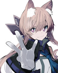 Rule 34 | 1girl, animal ear fluff, animal ears, arknights, black jacket, blue necktie, brown hair, cardigan (arknights), closed mouth, gloves, hair between eyes, hand up, high collar, highres, jacket, long hair, looking at viewer, low twintails, necktie, open clothes, open jacket, purple eyes, shirt, simple background, smile, solo, tetuw, twintails, very long hair, white background, white gloves, white shirt