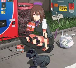 Rule 34 | 1girl, aibo (robot), android, bag, brown hair, car, coca-cola, dog, drinking, drinking straw, grass, jittsu, joints, looking at viewer, motor vehicle, oil, original, purple eyes, robot, robot joints, school uniform, shadow, shopping bag, solo, sony, squatting, tail, translated, vehicle, vending machine