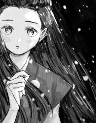 Rule 34 | 1girl, ace attorney, black background, blush, braid, greyscale, hand up, iris (ace attorney), long hair, looking at viewer, monochrome, parted lips, phoenix wright: ace attorney - trials and tribulations, renshu usodayo, snow, snowing, solo, upper body
