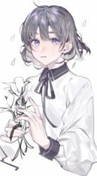 Rule 34 | 1girl, black ribbon, collared shirt, commentary, crying, crying with eyes open, flower, grey hair, holding, holding flower, long sleeves, looking at viewer, neck ribbon, original, parted lips, purple eyes, rain, ribbon, shirt, short hair, simple background, solo, symbol-only commentary, tears, tefco, upper body, white background, white flower, white shirt