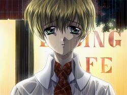 Rule 34 | 1girl, androgynous, blonde hair, carnelian, close-up, game cg, green eyes, looking at viewer, necktie, night, ono ikumi, open mouth, outdoors, plaid, pov, rain, re leaf, reverse trap, short hair, solo, wet, wet clothes, wet hair