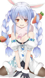 Rule 34 | 1girl, :d, absurdres, animal ear fluff, animal ears, between legs, black pantyhose, blue hair, blue ribbon, bow, bra, braid, breasts, carrot hair ornament, carrot print, cleavage, commentary request, detached sleeves, don-chan (usada pekora), dress, food-themed hair ornament, food print, fur trim, hair bow, hair ornament, hand between legs, highres, hisuto (kenngo723), hololive, long hair, looking at viewer, multicolored hair, open mouth, orange eyes, pantyhose, pom pom (clothes), puffy short sleeves, puffy sleeves, rabbit-shaped pupils, rabbit ears, rabbit girl, ribbon, short sleeves, sidelocks, silver hair, simple background, sitting, small breasts, smile, solo, symbol-shaped pupils, thick eyebrows, twin braids, twintails, two-tone hair, underwear, usada pekora, usada pekora (1st costume), virtual youtuber, wariza, white background, white bow, white dress