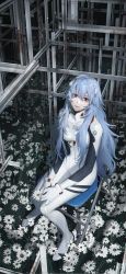 Rule 34 | 1girl, absurdres, ayanami rei, bags under eyes, blue hair, bodysuit, breasts, chair, clothes writing, evangelion: 3.0+1.0 thrice upon a time, field, flower, flower field, folding chair, from above, full body, hair between eyes, highres, holding, holding flower, interface headset, long hair, looking at viewer, looking up, neon genesis evangelion, own hands together, petals, pilot suit, plugsuit, pole, rebuild of evangelion, red eyes, rust, sitting, smile, solo, very long hair, wangan, white bodysuit, white flower